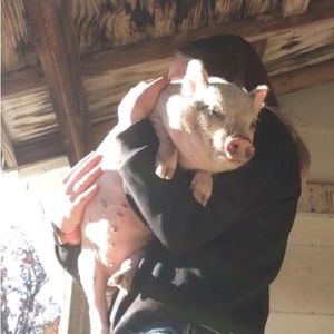 Meet your Posher, Hailee